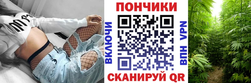 Бошки Шишки конопля  Аркадак 